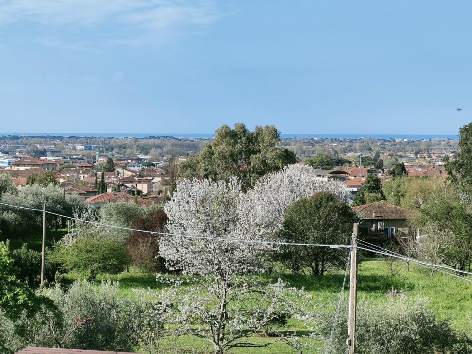 Casa Bianca Villa Pietrasanta Exteriör bild
